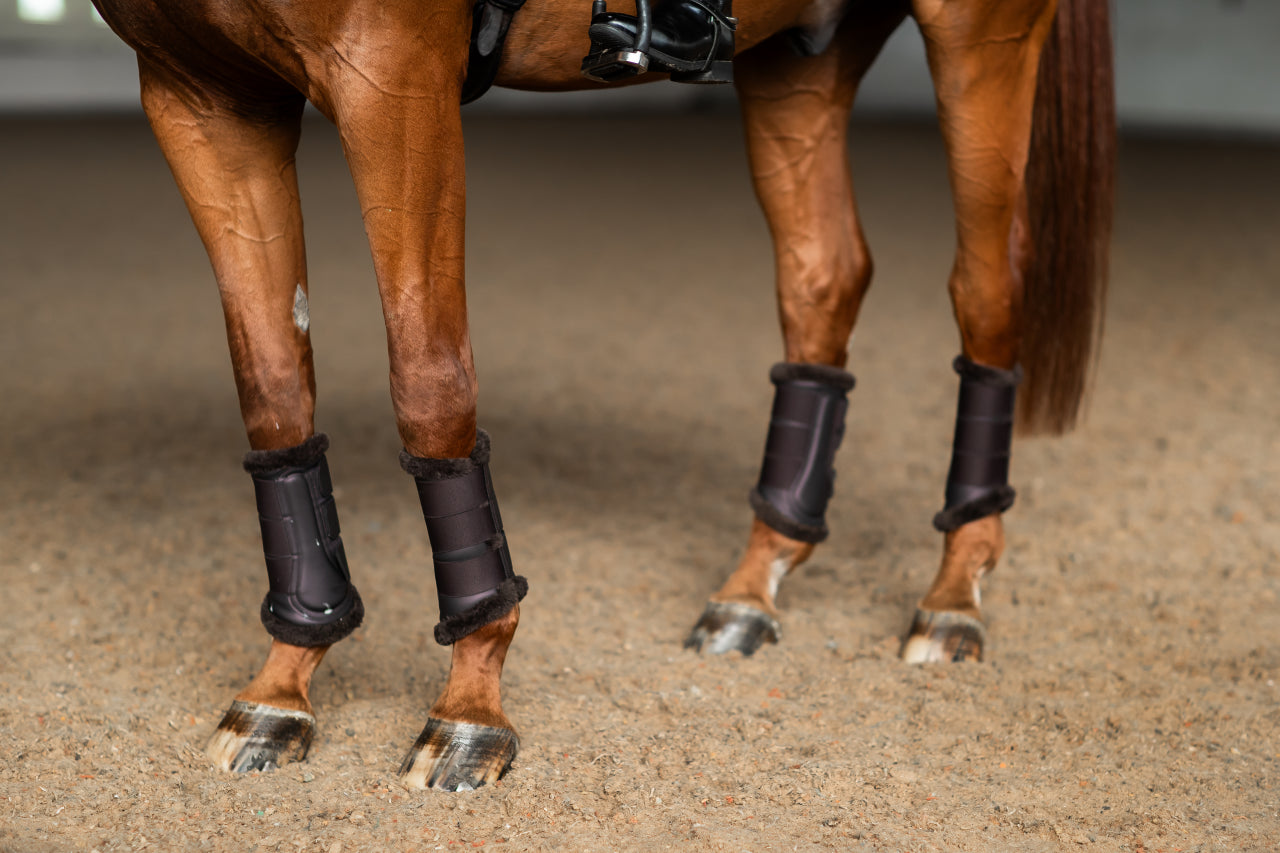 Guêtres de dressage Moonless Night - Equestrian Stockholm