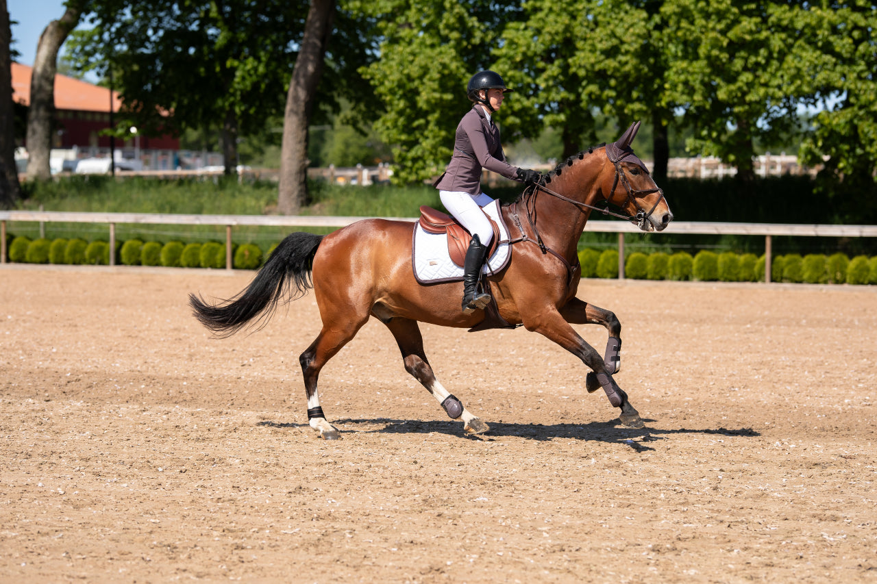 Guêtres Anatomic Tendon Boots Moonless Night - Equestrian Stockholm