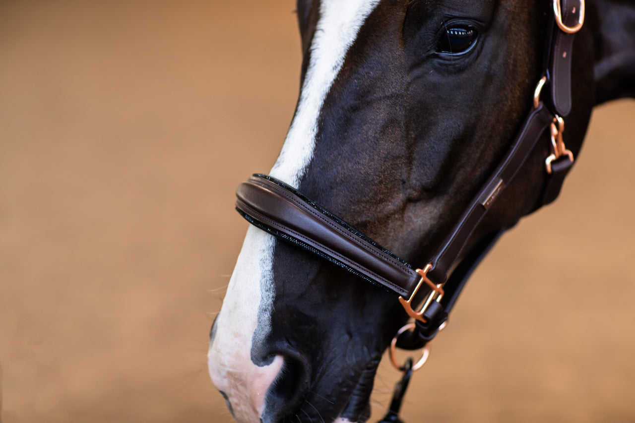 Licol Anatomique Moonless Night - Equestrian Stockholm