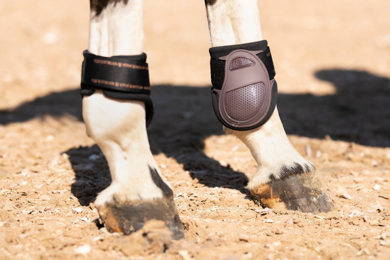 Protège-boulets Anatomic Fetlock Boots Moonless Night - Equestrian Stockholm