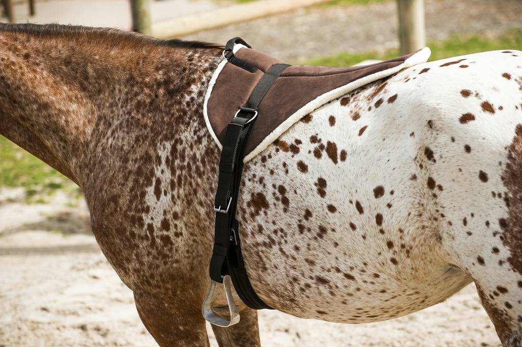 Soft Brown bareback riding pad - Norton