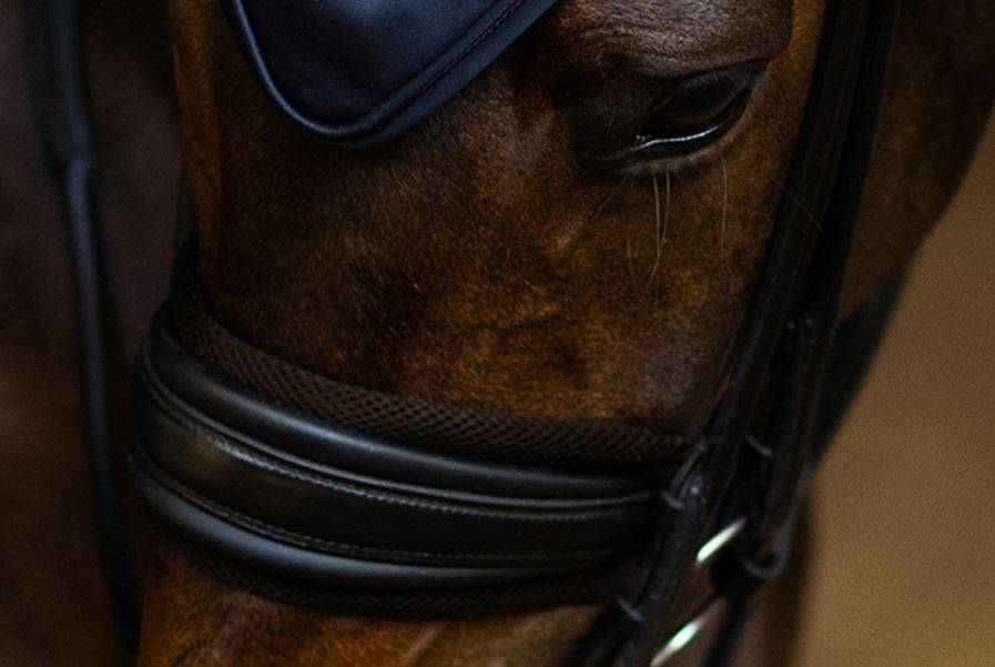 Noseband Protector - Equestrian Stockholm