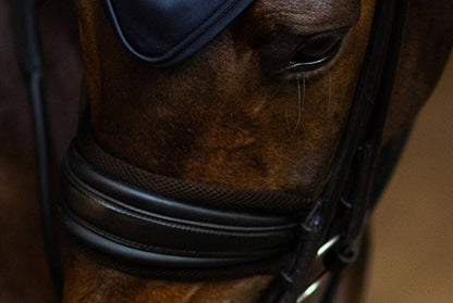 Noseband Protector - Equestrian Stockholm