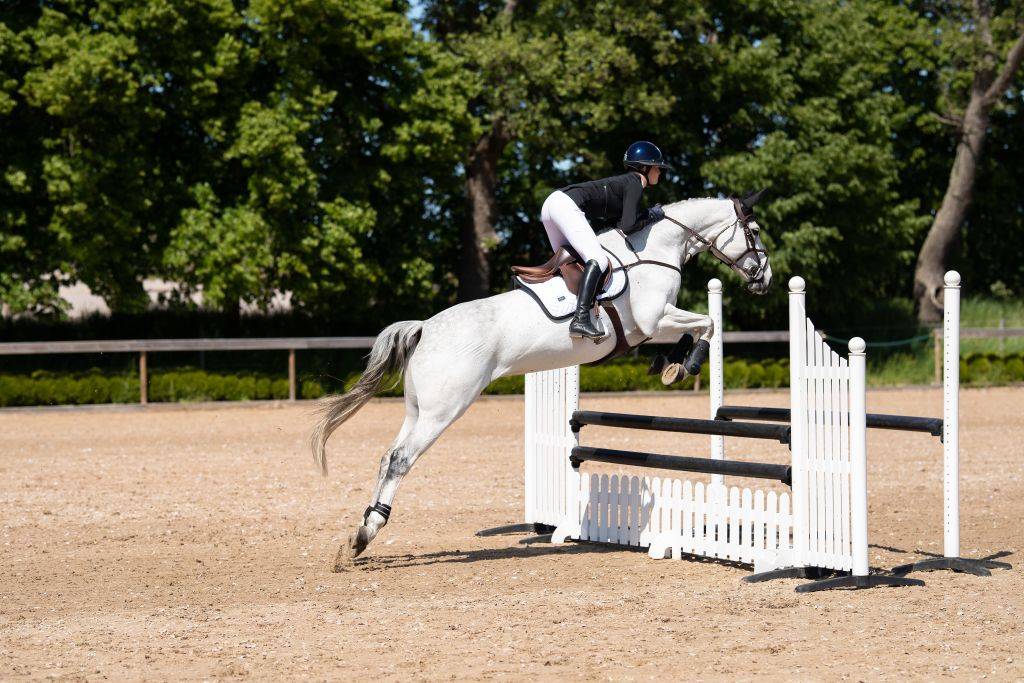 Tapis de selle Modern White Black Edition - Equestrian Stockholm