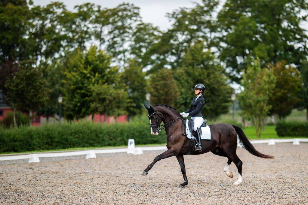 Tapis de selle Modern White Black Edition - Equestrian Stockholm