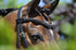 Frontal en cristaux - noir
