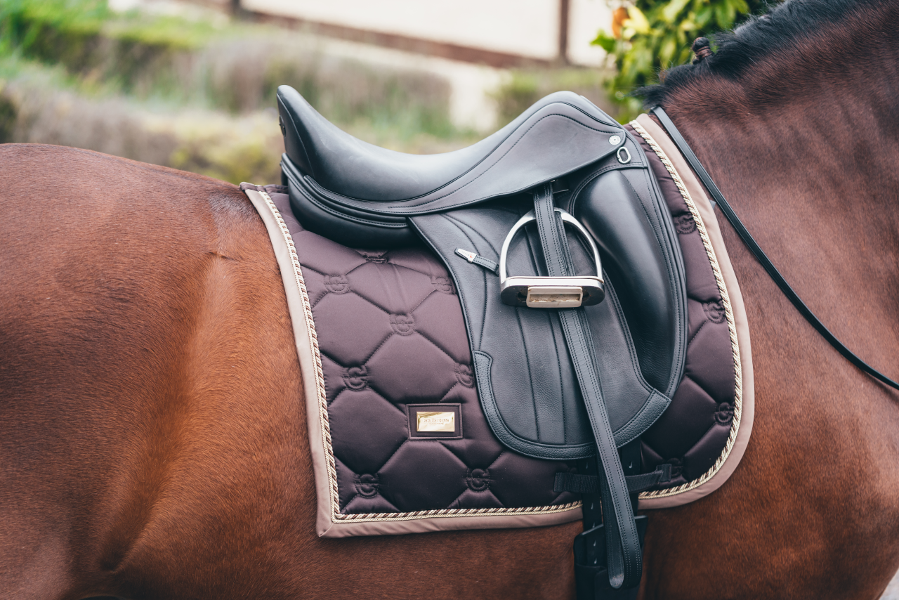 Equestrian Stockholm Filet d'oreille ite vert émeraude complet Equestrian Stockholm Filet d'oreille ite vert émeraude complet