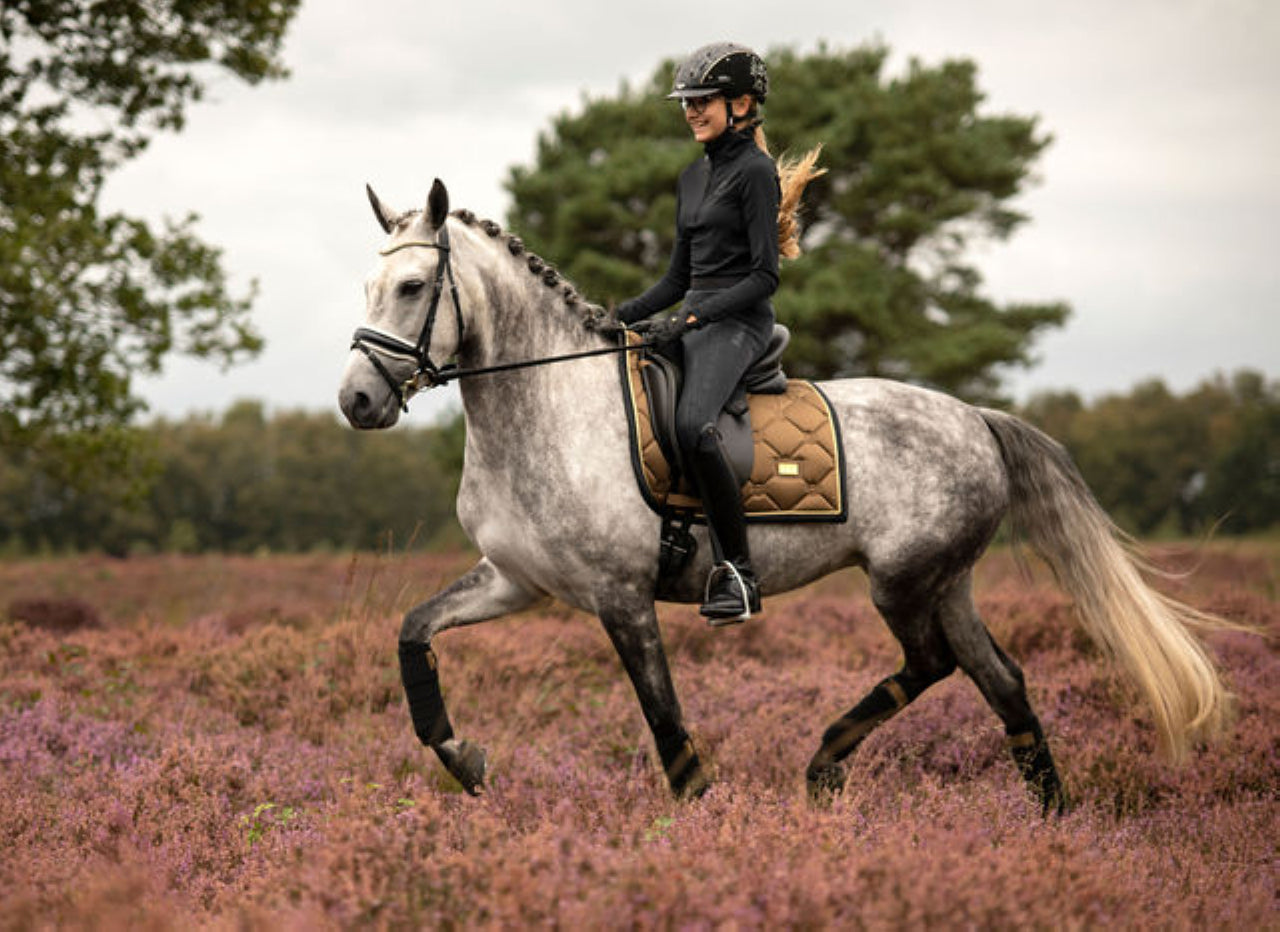 Golden Brass saddle pad - Equestrian Stockholm 