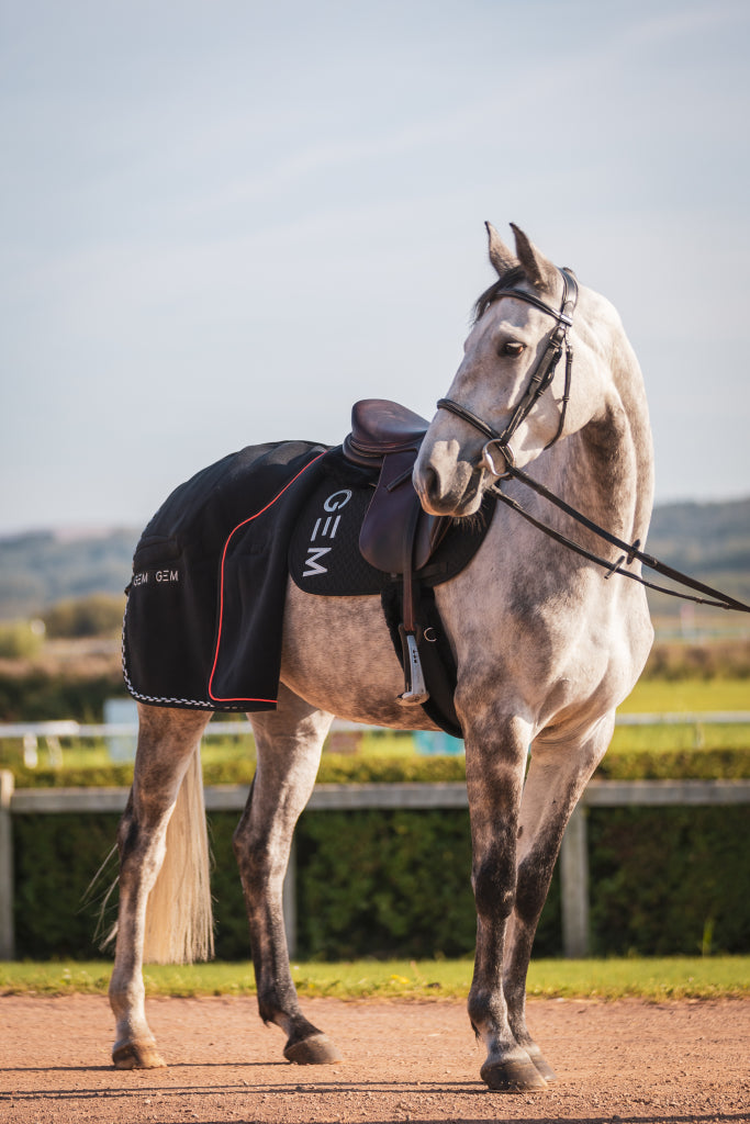 TEN saddle pad - GEM