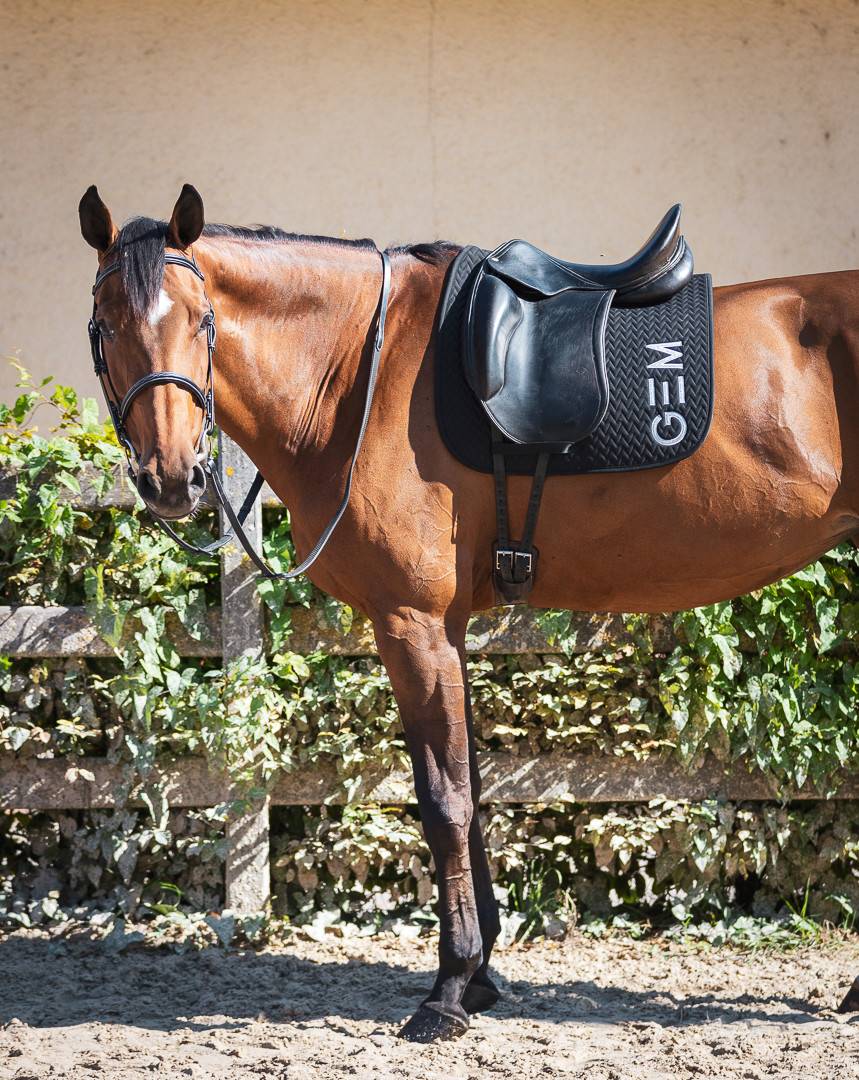 TEN saddle pad - GEM