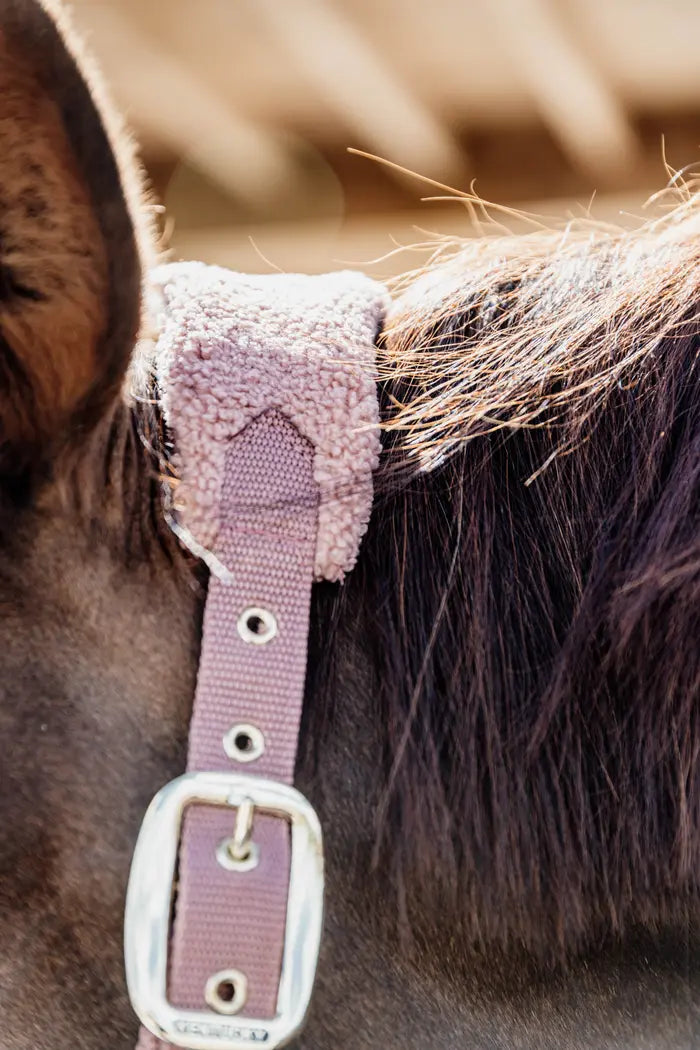 Teddy Fleece Halter - Kentucky