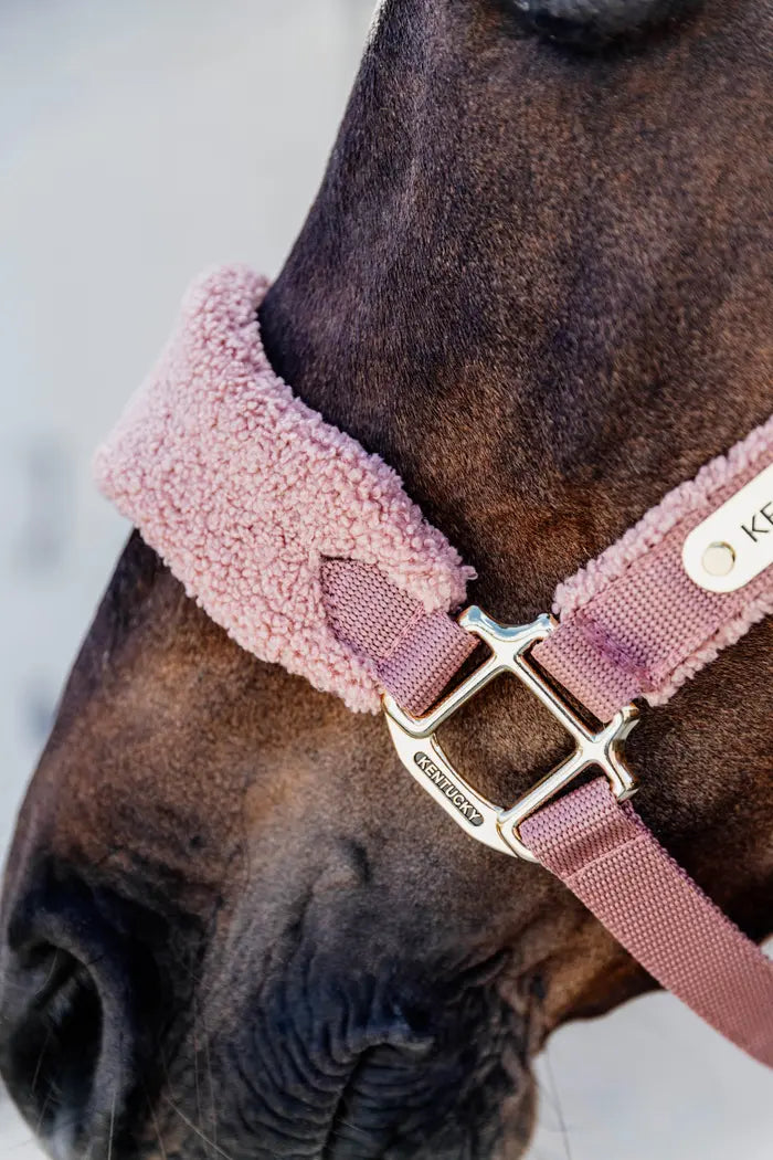 Teddy Fleece Halter - Kentucky