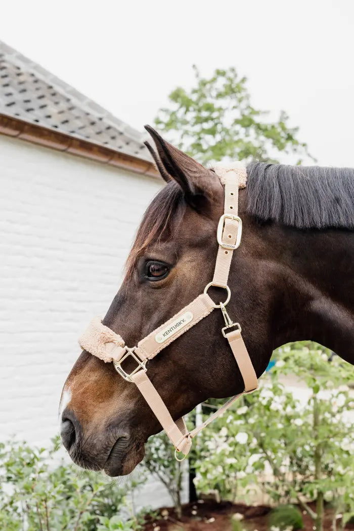 Teddy Fleece Halter - Kentucky