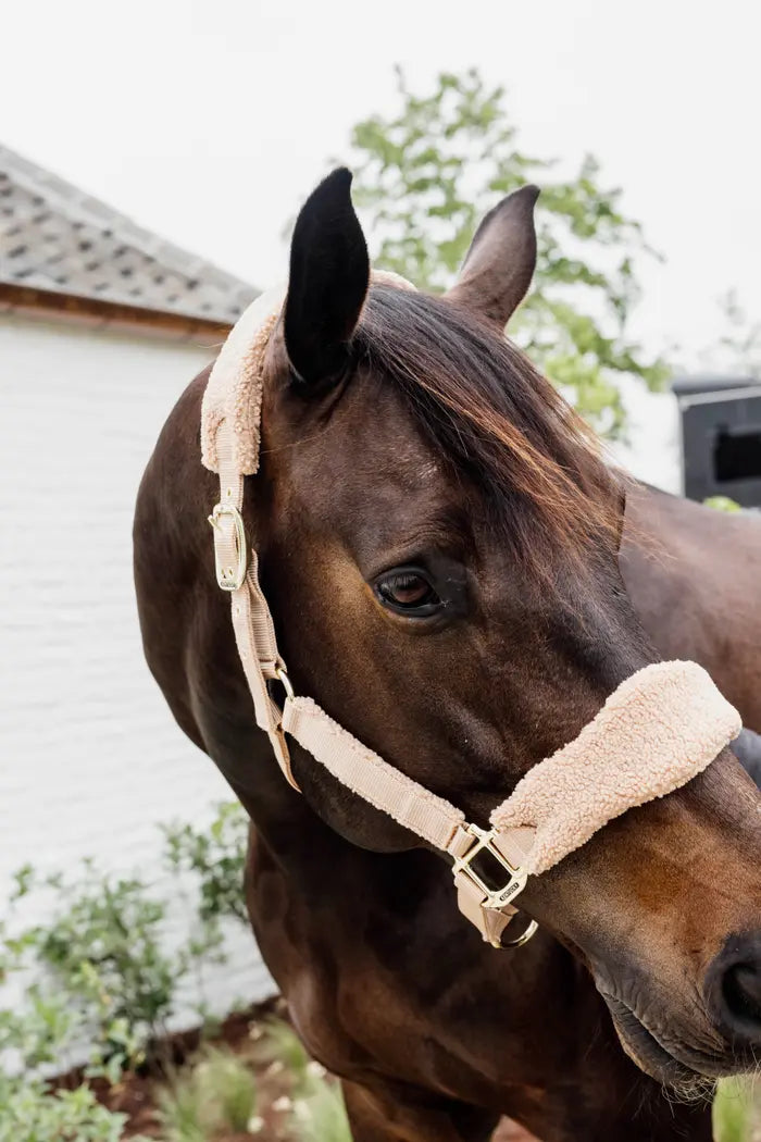 Teddy Fleece Halter - Kentucky