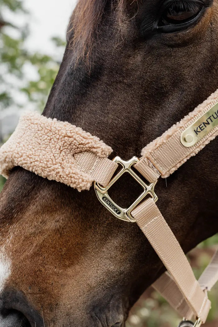 Teddy Fleece Halter - Kentucky