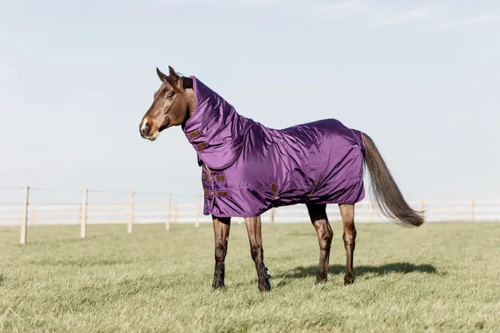 All Weather waterproof pro outdoor blanket Purple 160g - Kentucky