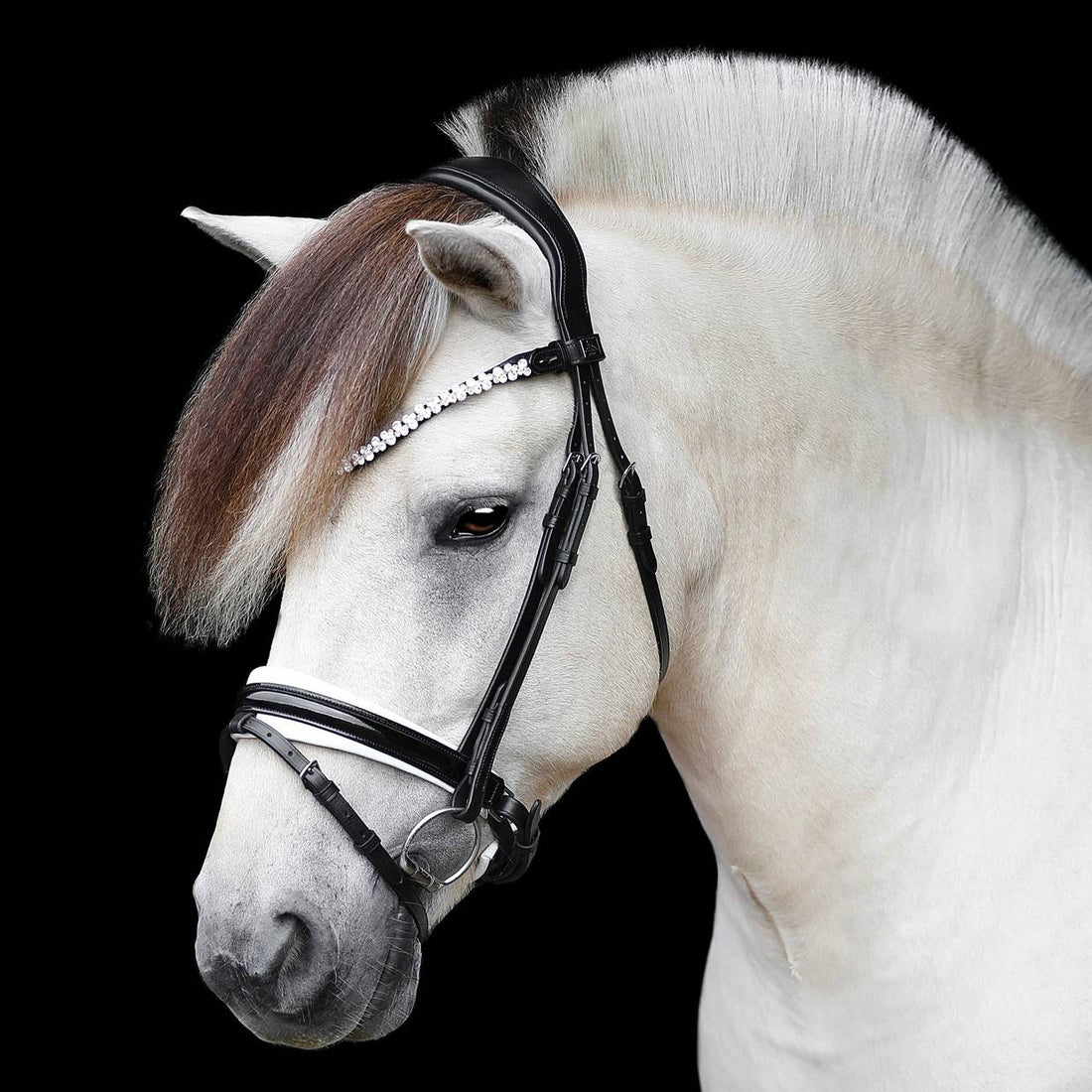 Romanov bridle - SD Design