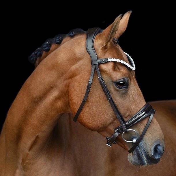Romanov bridle - SD Design