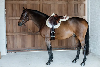 Tapis de selle Hunter Mouton vegan - Kentucky