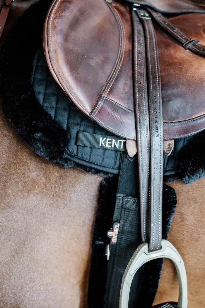 Tapis de selle Hunter Mouton vegan - Kentucky