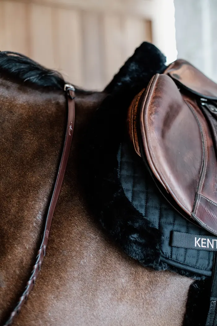 Tapis de selle Hunter Mouton vegan - Kentucky
