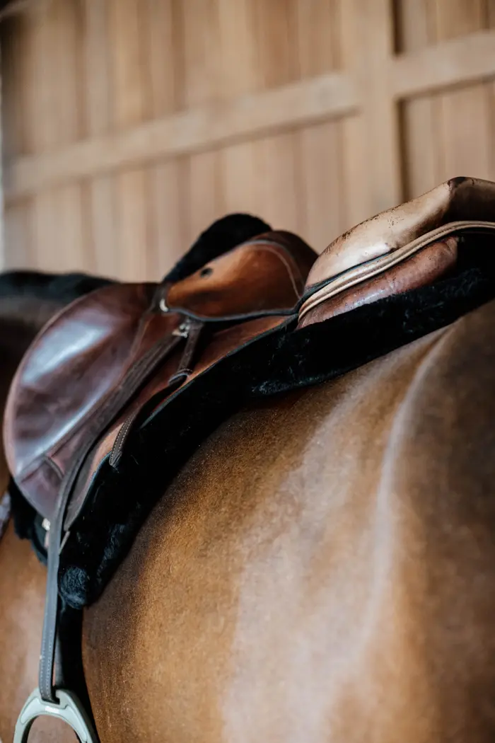Tapis de selle Hunter Mouton vegan - Kentucky
