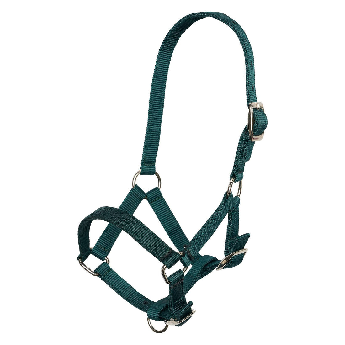 Foal halter - Imperial Riding