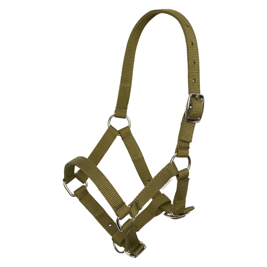 Foal halter - Imperial Riding