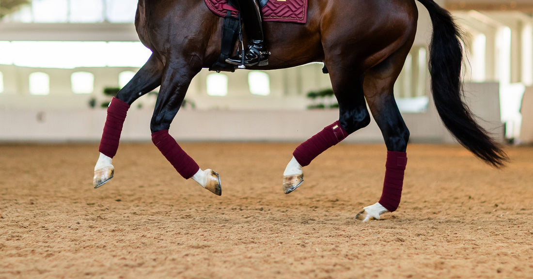 New Maroon Polo Bands - Equestrian Stockholm