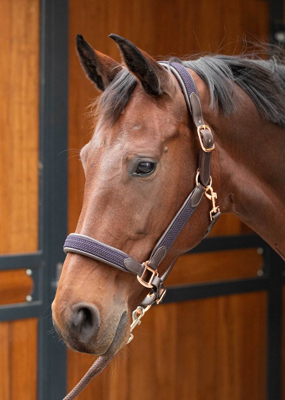 Braided leather halter - Harry&