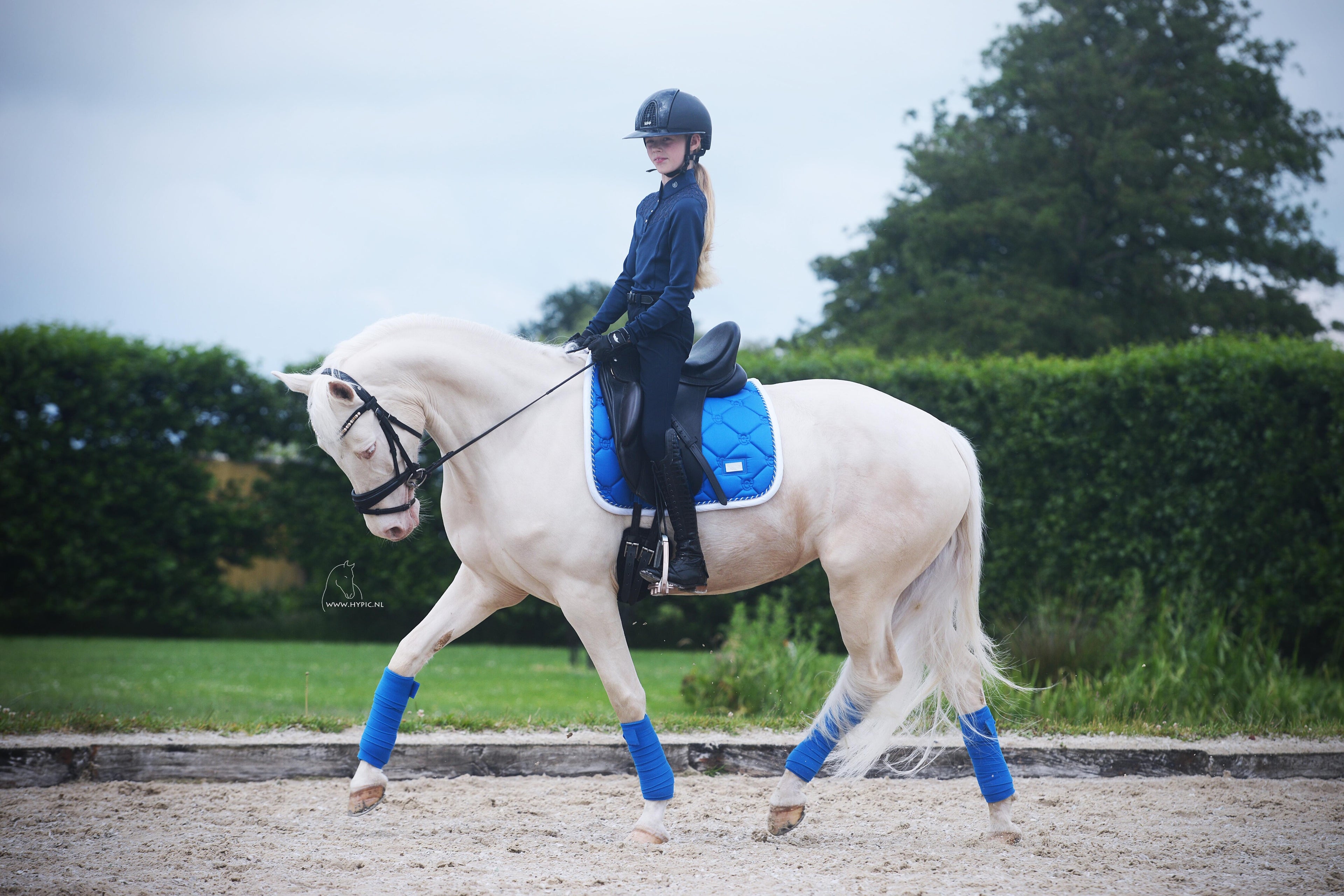 Tapis de selle Sapphire - Equestrian Stockholm