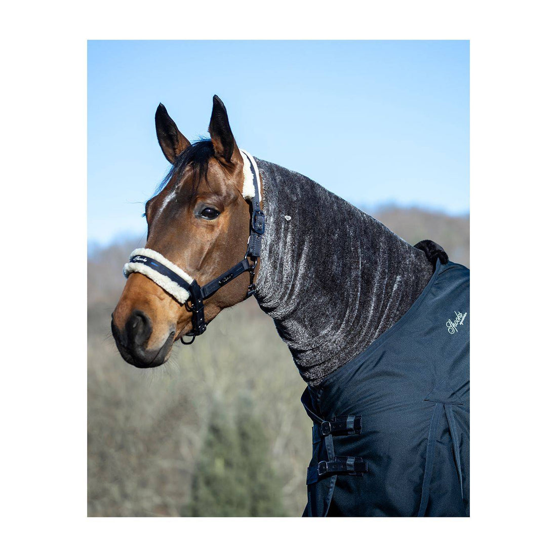 Horse Loop neck cover - Spooks