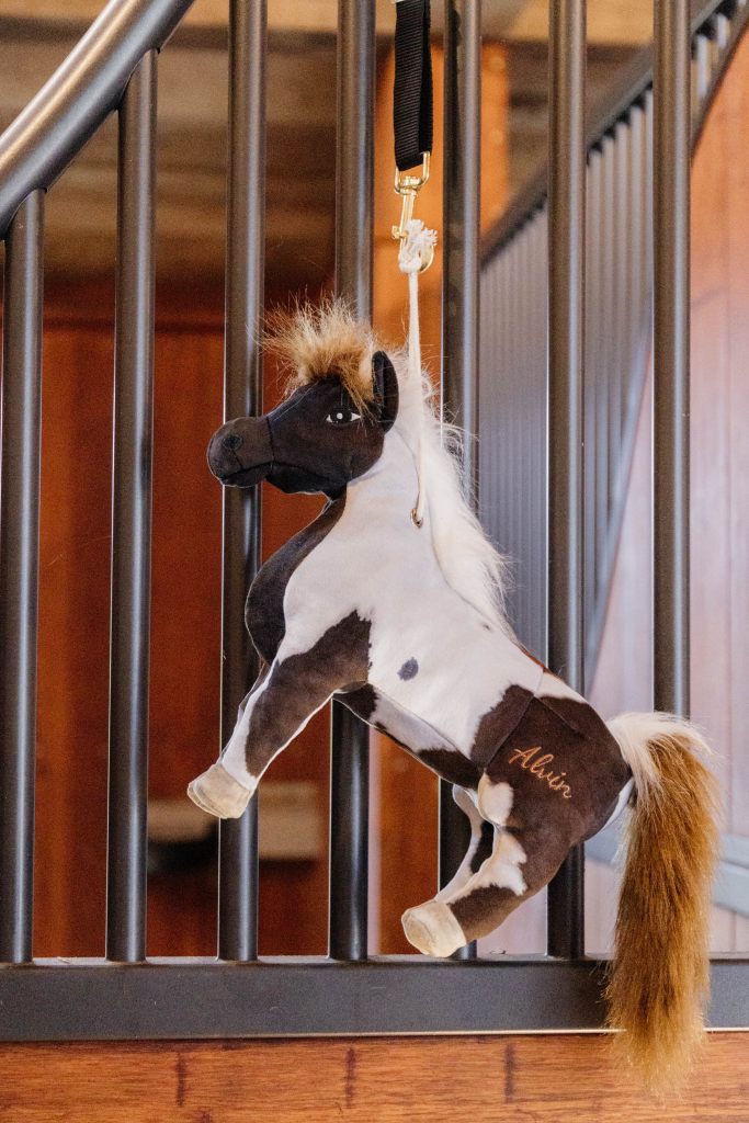 Alvin Pony Boxing Toy - Kentucky