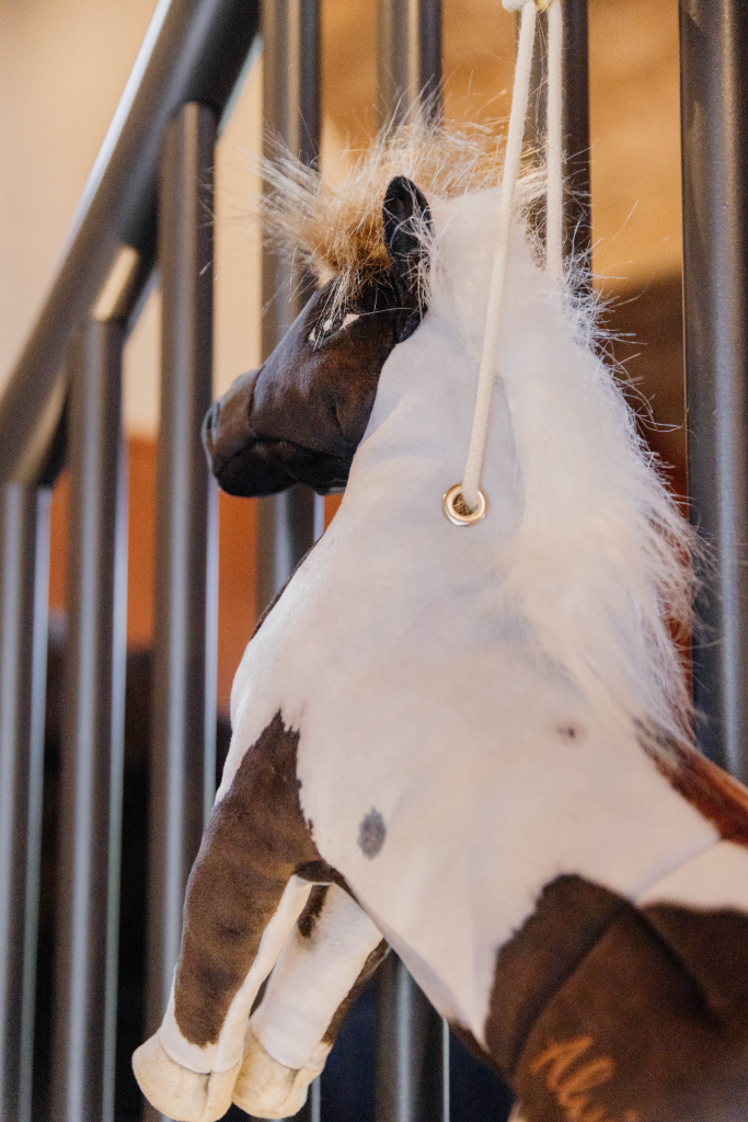 Alvin Pony Boxing Toy - Kentucky