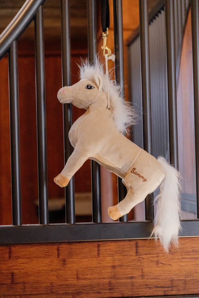 Sammy Pony Boxing Toy - Kentucky