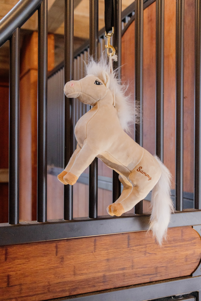 Jouet de boxe Poney Sammy - Kentucky
