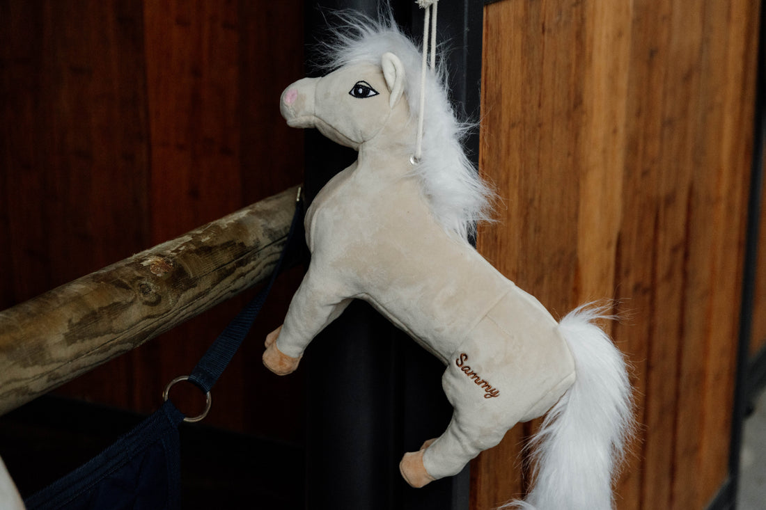 Sammy Pony Boxing Toy - Kentucky