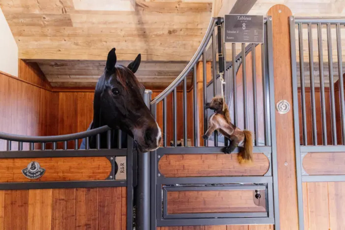 Tableux Pony Boxing Toy - Kentucky