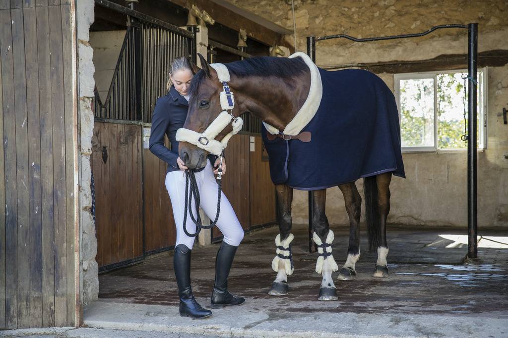 Couverture laine Teddy - Equithème