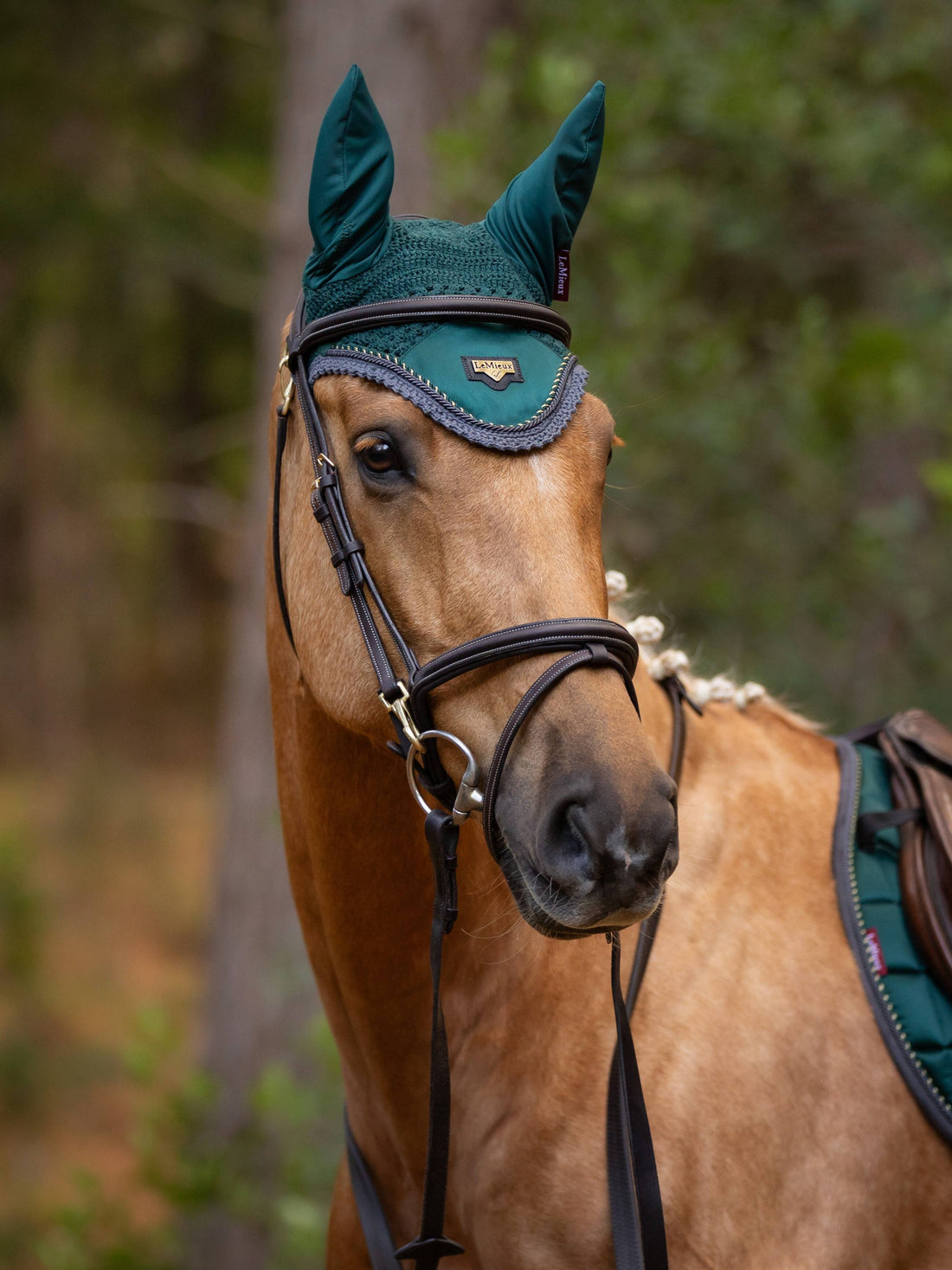 Loire Spruce fly cap - LEMIEUX