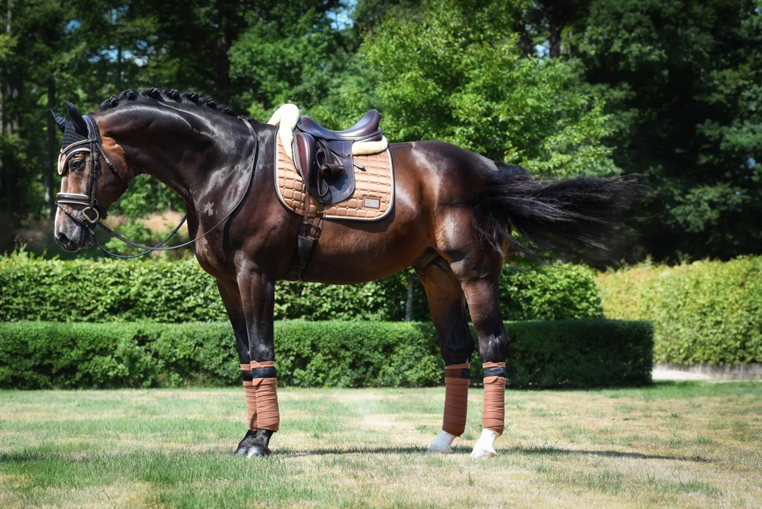 Equito fleece strips - Hazelnut