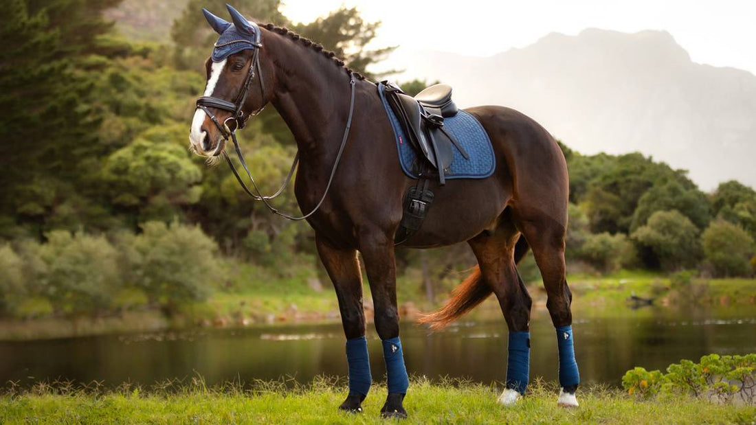 Suede Square Atlantic saddle pad - LEMIEUX