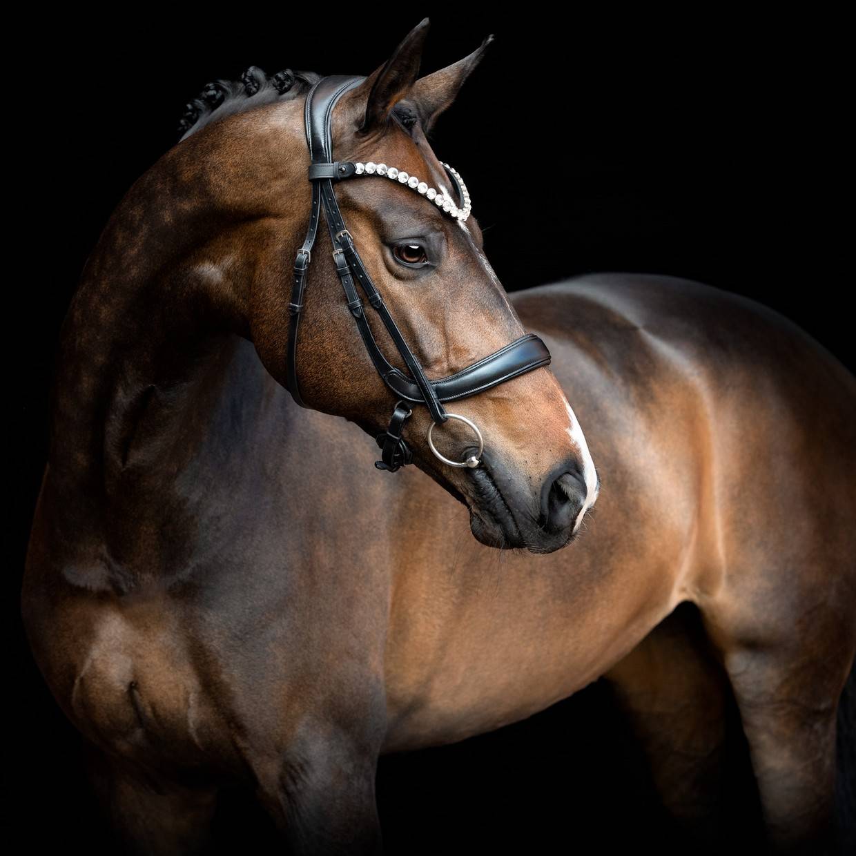 Valentino black leather browband - SD DESIGN