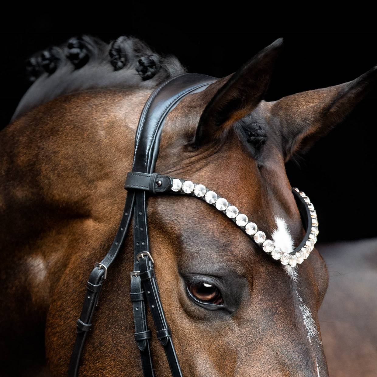 Valentino black leather browband - SD DESIGN