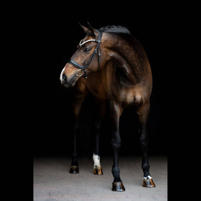 Valentino black leather browband - SD DESIGN