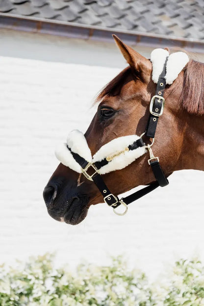 Soft nylon sheep halter - Kentucky