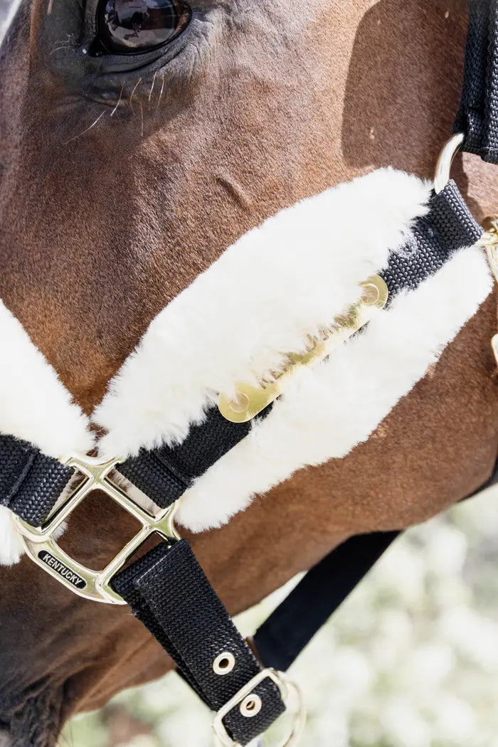 Soft nylon sheep halter - Kentucky