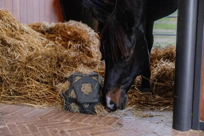 Hay bale - Kentucky