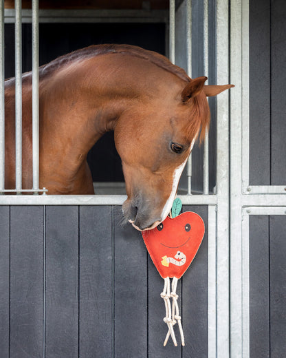 Jouets pour chevaux pomme - QHP