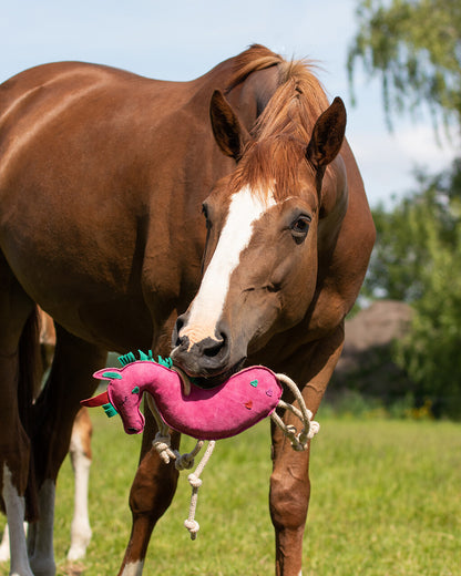 Jouet de box Licorne - QHP